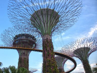 DBV Thinknet U01-2026 - Wettbewerbsreizung (2)